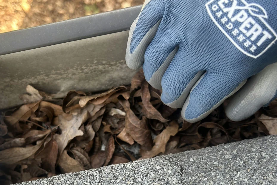 Gutter Cleaning Reading OH